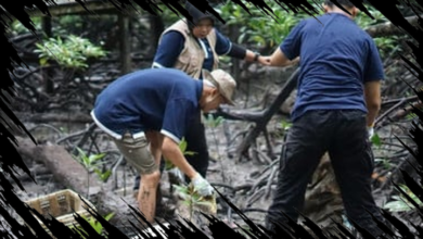 Telkom Kolaborasi dengan AYS Indonesia untuk Pemulihan Ekosistem Alam di Tarakan