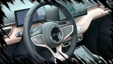 BYD PHK 100.000 Karyawan di Tengah Kesuksesan Perusahaan yang Meningkat Pesat