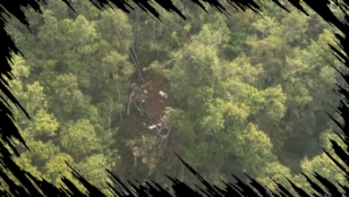 Helikopter Jatuh Ditemukan di Hutan Sekadau, Kalimantan Barat