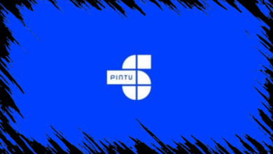 Peningkatan Drastis, Jumlah Pengguna Meningkat Pesat dan Signifikan