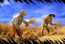 Harga Solar di Beberapa Negara Asia Capai Rp51 Ribu per Liter, Ancaman Krisis Pangan Meningkat