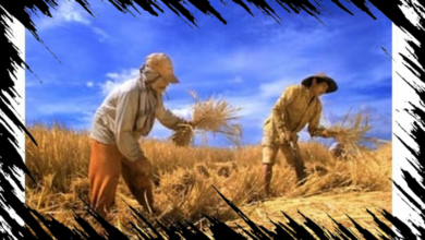 Harga Solar di Beberapa Negara Asia Capai Rp51 Ribu per Liter, Ancaman Krisis Pangan Meningkat