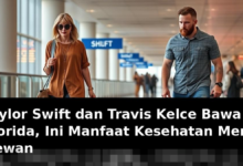 Taylor Swift dan Travis Kelce Bawa Anjing ke Florida, Simak Manfaat Kesehatan Memelihara Hewan