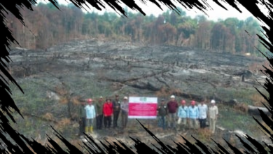 Empat Perusahaan Pemegang Izin Hutan di Kalbar Diuji Kesiapan Menghadapi Karhutla