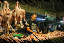 Mendag Pertahankan Harga Daging Ayam Rp 40 Ribu Per Kg untuk Kesejahteraan Konsumen dan Peternak