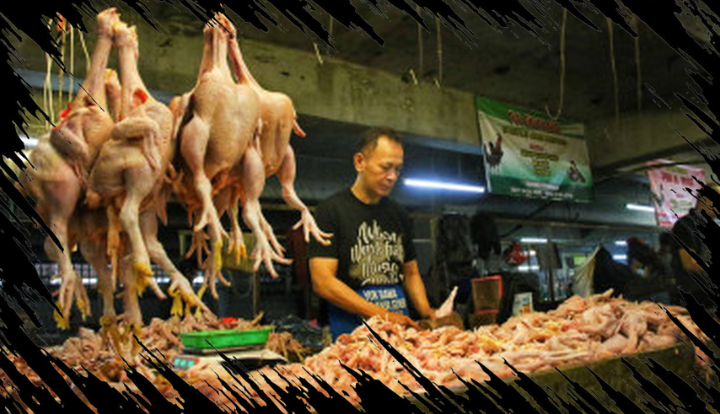 Mendag Pertahankan Harga Daging Ayam Rp 40 Ribu Per Kg untuk Kesejahteraan Konsumen dan Peternak Mendag Pertahankan Harga Daging Ayam Rp 40 Ribu Per Kg untuk Kesejahteraan Konsumen dan Peternak