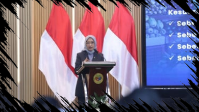 Reformasi Birokrasi Menurut Menteri PANRB: Fokus pada Dampak Terukur, Bukan Hanya Prosedur
