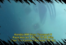 Terekam Penyelam Kopaska, Begini Penampakan KM Virgo Transport 8 di Bawah Laut