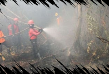 Kemenhut Catat Peningkatan Titik Panas Karhutla di Indonesia Menjadi 1.532