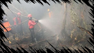 Kemenhut Catat Peningkatan Titik Panas Karhutla di Indonesia Menjadi 1.532