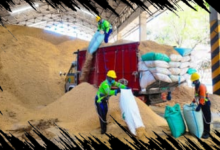 Pabrik Tuban Manfaatkan 400 Ton Sekam Padi per Hari untuk Tingkatkan Produksi Energi Alternatif