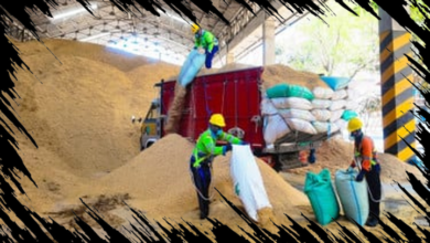 Pabrik Tuban Manfaatkan 400 Ton Sekam Padi per Hari untuk Tingkatkan Produksi Energi Alternatif