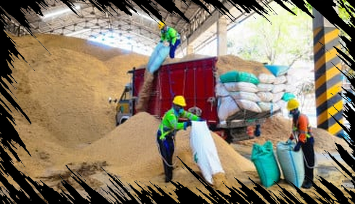 Pabrik Tuban Manfaatkan 400 Ton Sekam Padi per Hari untuk Tingkatkan Produksi Energi Alternatif