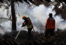 Relawan Pemadaman Karhutla Tanjung Puting Mundur, Kemenhut Berikan Respons Resmi