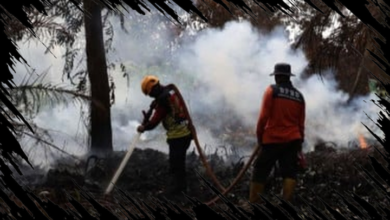 Relawan Pemadaman Karhutla Tanjung Puting Mundur, Kemenhut Berikan Respons Resmi Relawan Pemadaman Karhutla Tanjung Puting Mundur, Kemenhut Berikan Respons Resmi
