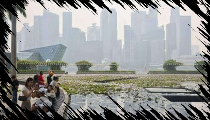 Menteri Lingkungan Hidup Singapura Hubungi Jumhur untuk Bantu Indonesia Atasi Karhutla